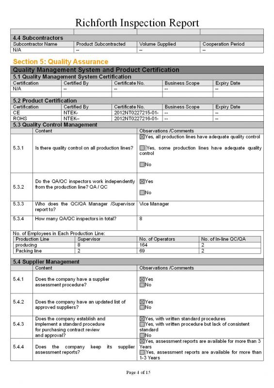 sample audit report