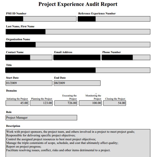 sample audit report