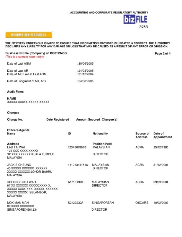 sample audit report