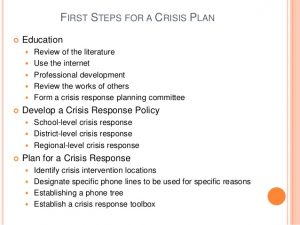 sample behavior intervention plan crisis intervention in the schools