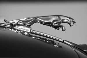 sample car bill of sale jaguar hood ornament jill reger