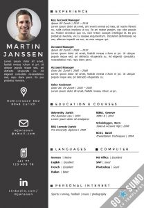 sample cv template german resume template best creative cv template ideas on pinterest creative cv