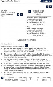 sample divorce paper quebec application for divorce sample