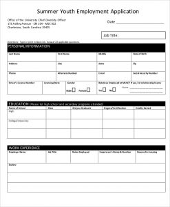 sample employment application summer youth employment application