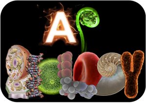 sample lab report biology biology