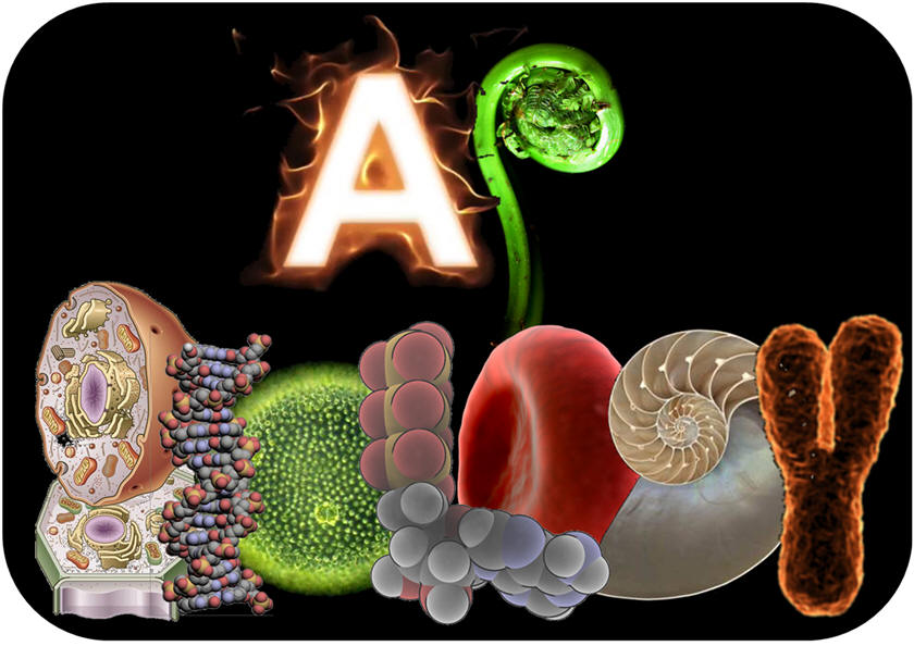 sample lab report biology