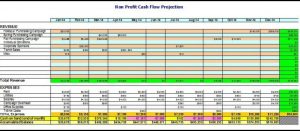 sample nonprofit budget not for profit budget