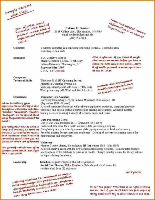 sample resume for first job