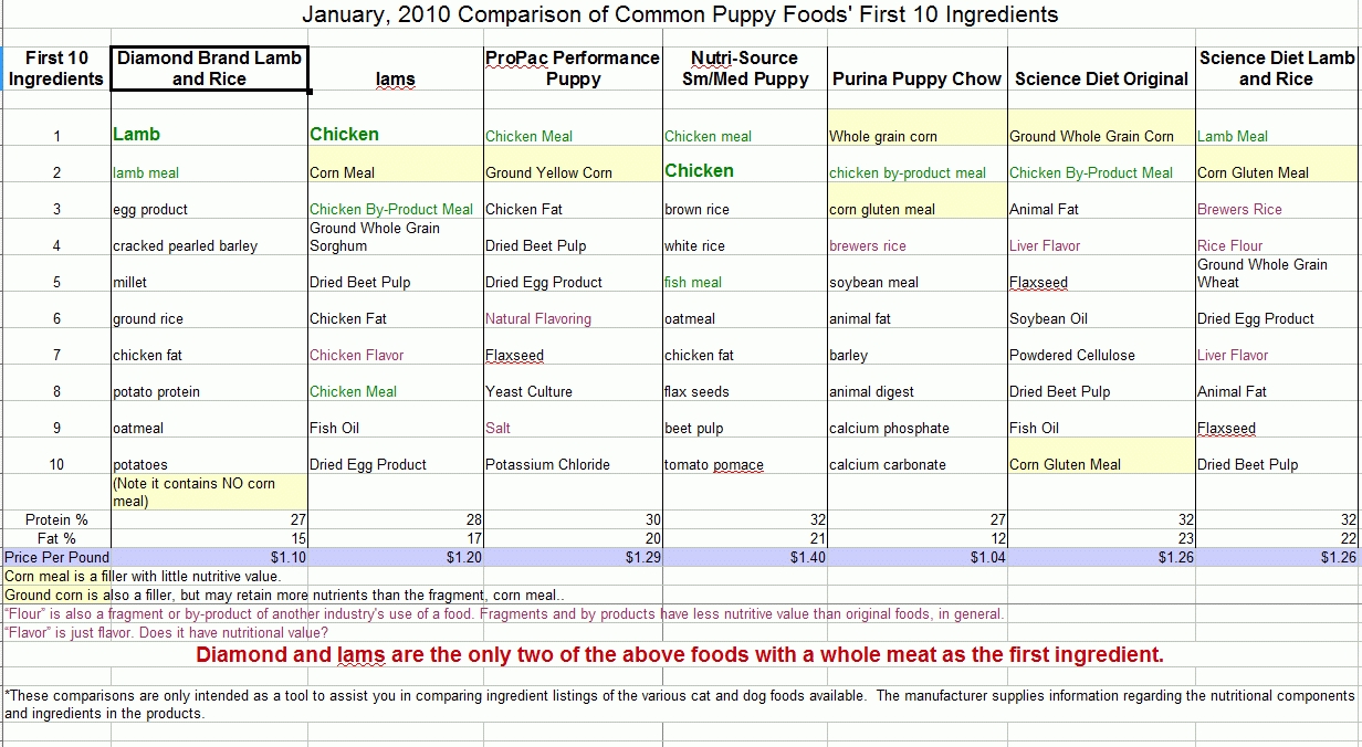 schedule template pdf