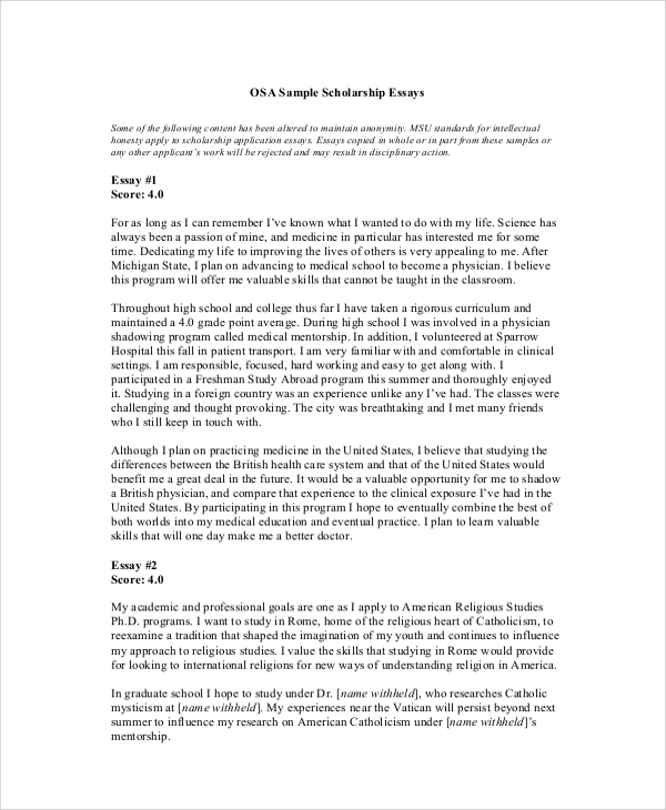 websites examples of formal writing essays 