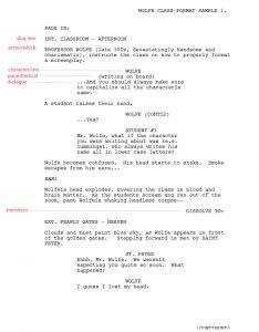 screenplay format template script format sa copy