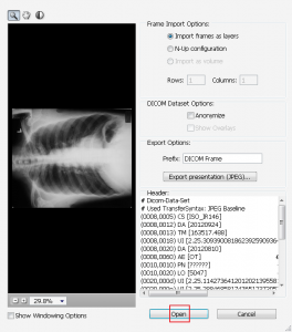 script format word fabb