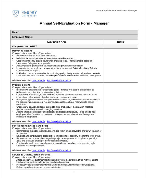 self evaluation examples