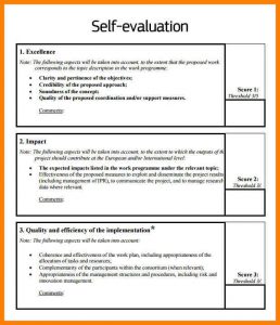 evaluation employee self performance comments sample review write samples examples assessment template appraisal example form report annual evaluations writing management