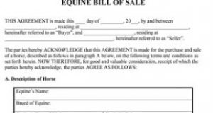 simple bill of sale for car equine bill of sale form thumb x