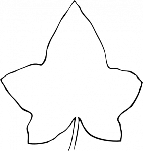 simple family tree line drawing leaf hi