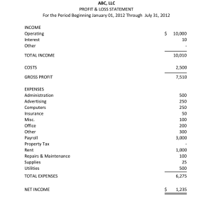 simple profit and loss statement plstatement