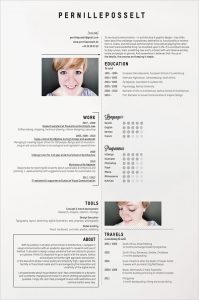 simple resume examples simple resume examples 2