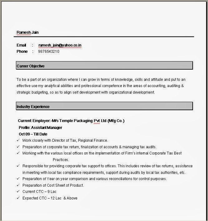 nice simple resume templates