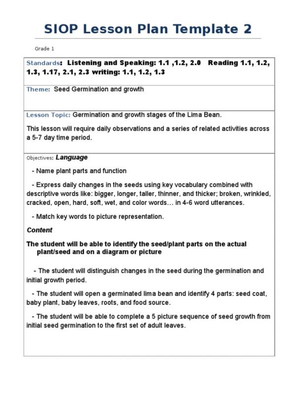 Siop Lesson Plan Template Business