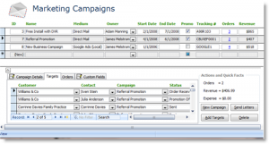 small business plan outline marketing campaign summary