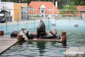 spa business planning norway bergen aquarium bergen v