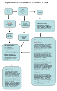 standard operating procedures examples diag tigr annotation