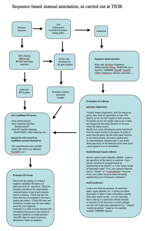 standard operating procedures examples