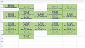 student survey questions a schedule part