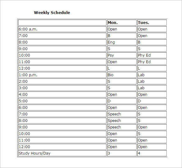 study schedule template