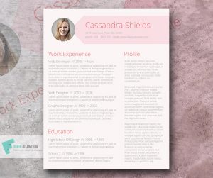 teacher resume template word pink resume template freebie