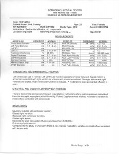 technical report formats echosample