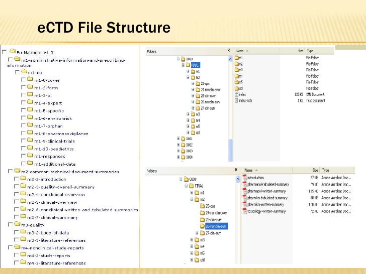 technical report formats