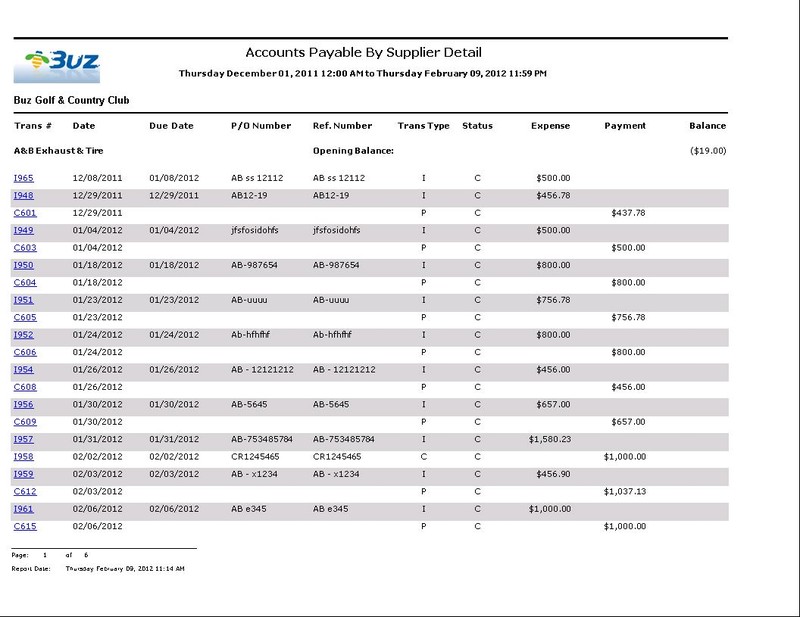 technical reporting format