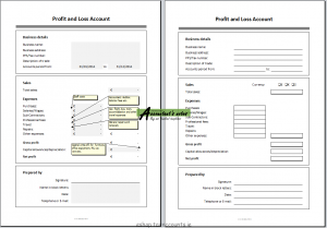 treasurer report template profitandlossaccount screenshot