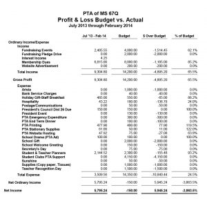 treasurer report template screen shot at pm