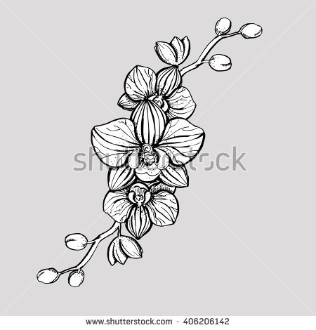 tropical flowers drawing