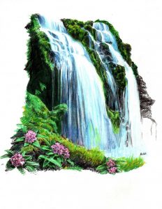 tropical flowers drawing tropical waterfall by thorr