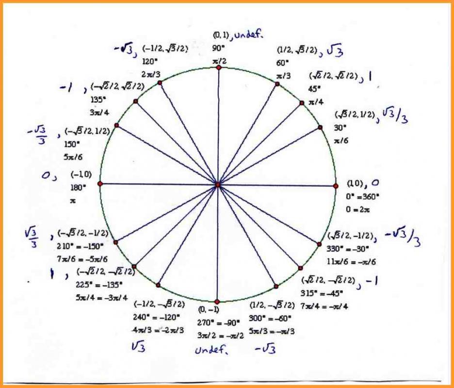 Unit Circle Template Template Business