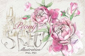 wedding script font peony