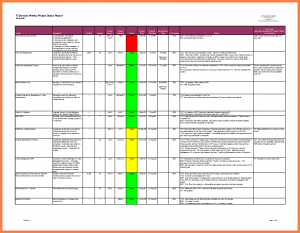 weekly progress report template weekly progress report template project management daily project status report template