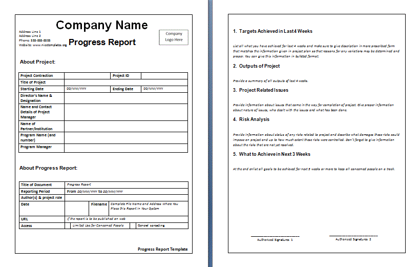 weekly report template