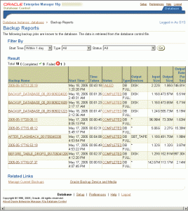 weekly status report template gr backup reports