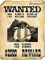 wild west wanted poster