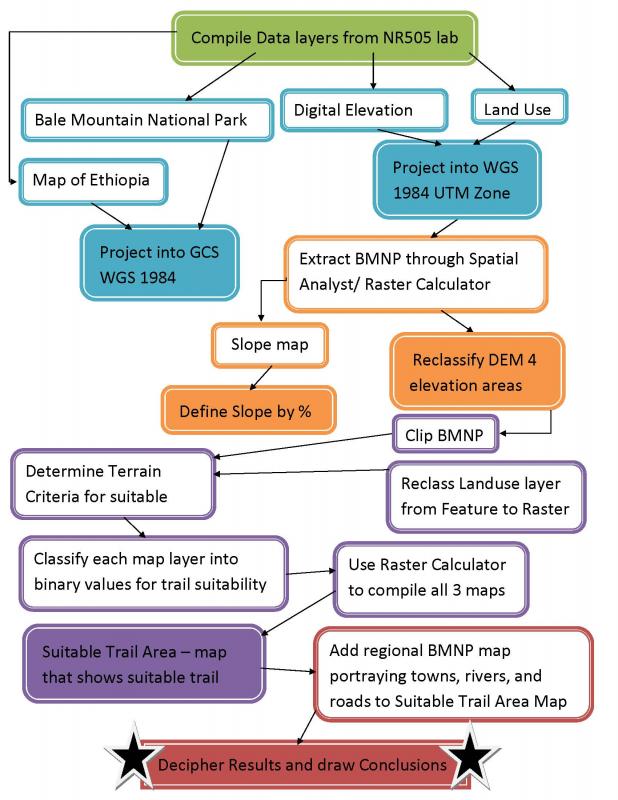 word flowchart template