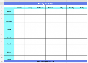 workout schedule template screen shot at pm